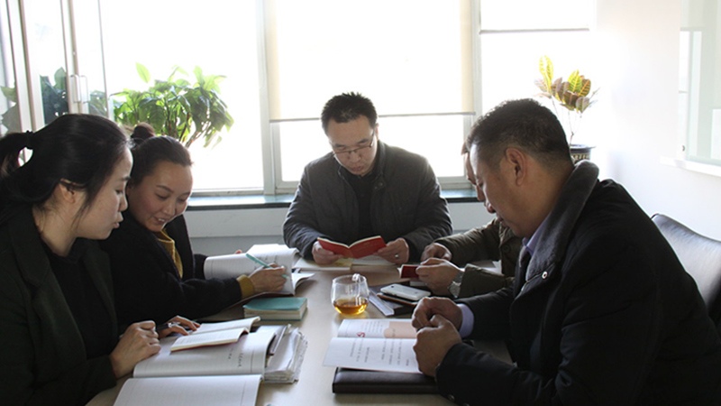 中共北京草莓视频操逼电子技术有限公司支部委员会成立